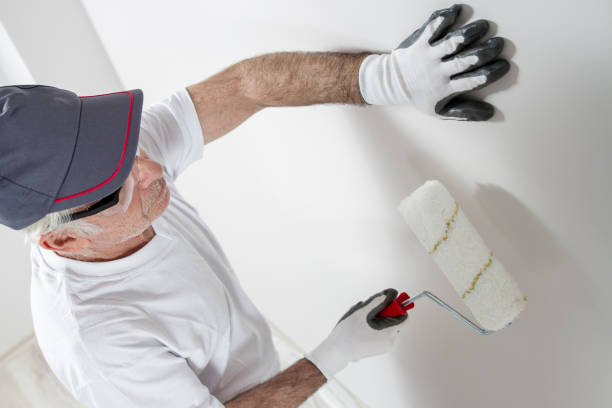 Trusted Elkton, VA Drywall & Painting Services Experts